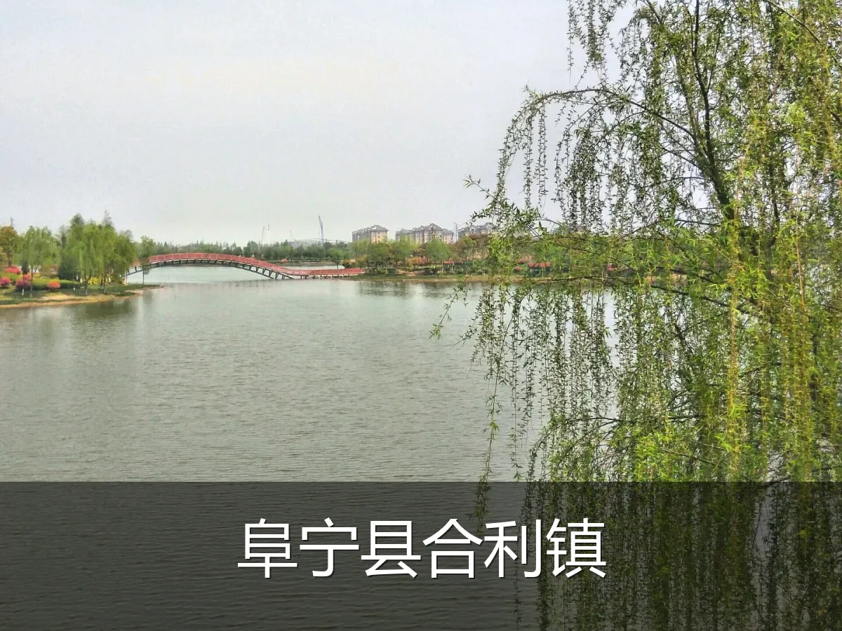 阜宁县合利镇