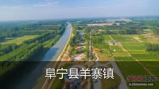阜宁县羊寨镇