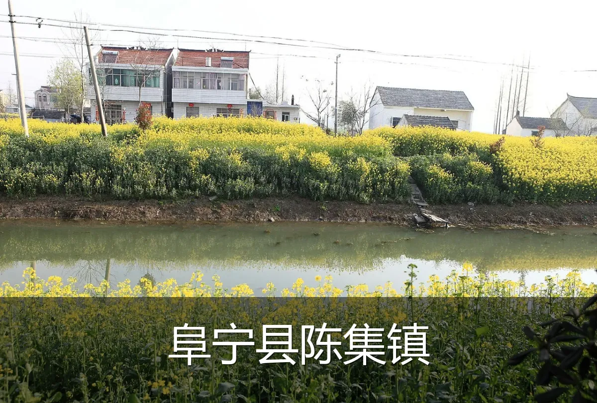 阜宁县陈集镇
